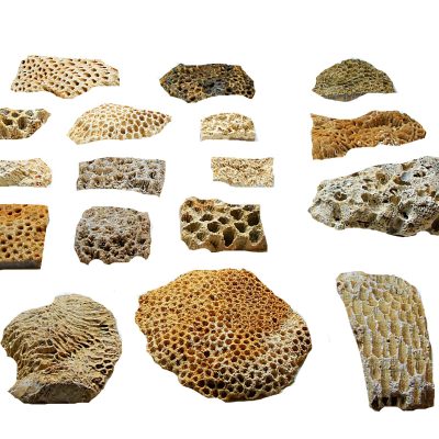 Image for choice number 6