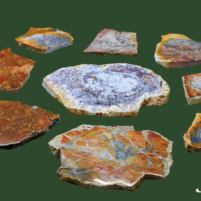 Image for choice number 24