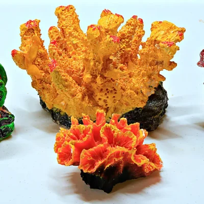 Image for choice number 8