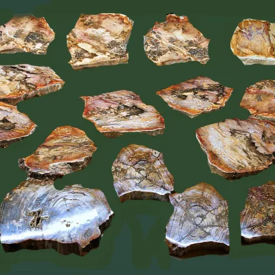 Image for choice number 5