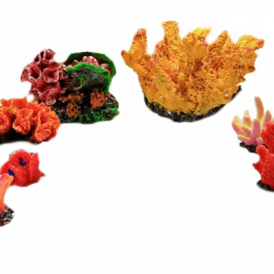 Image for choice number 7