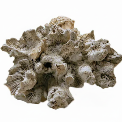 Image for choice number 3