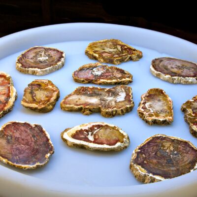 Image for choice number 15